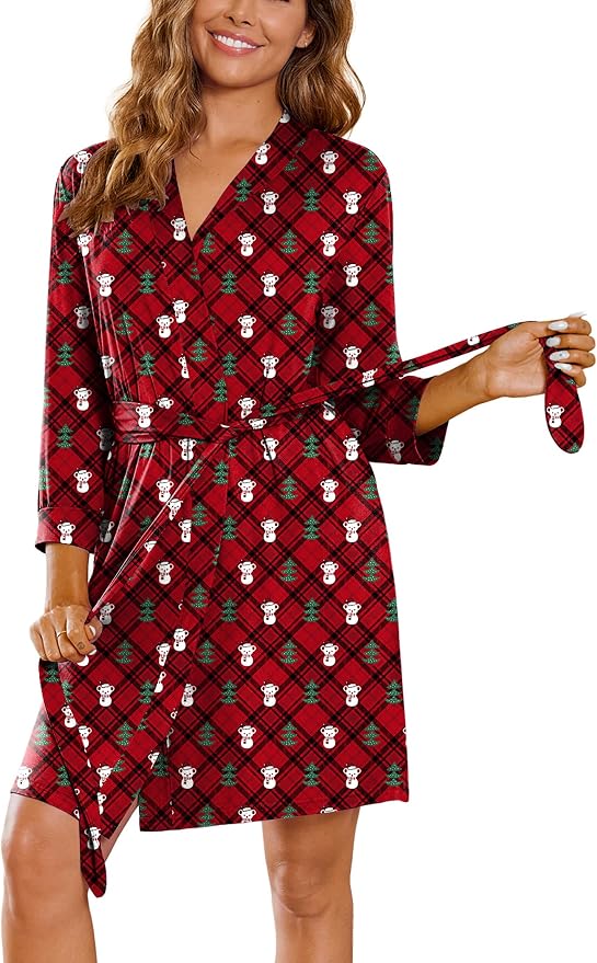 Teddy Bear Red Christmas